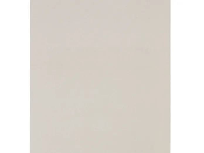 Beige rectangular blank canvas.