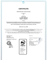 Todistus PEFC