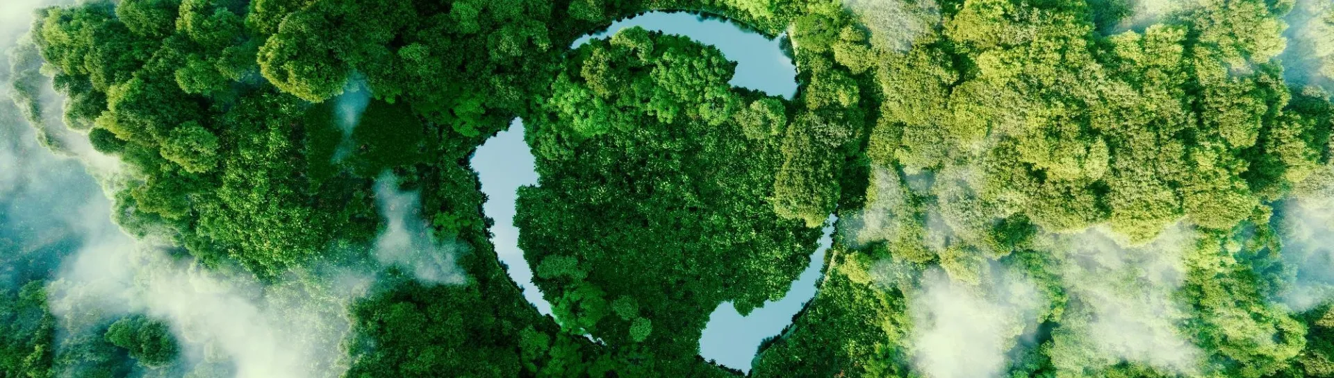 Aerial view of forest with recycling symbol overlay.