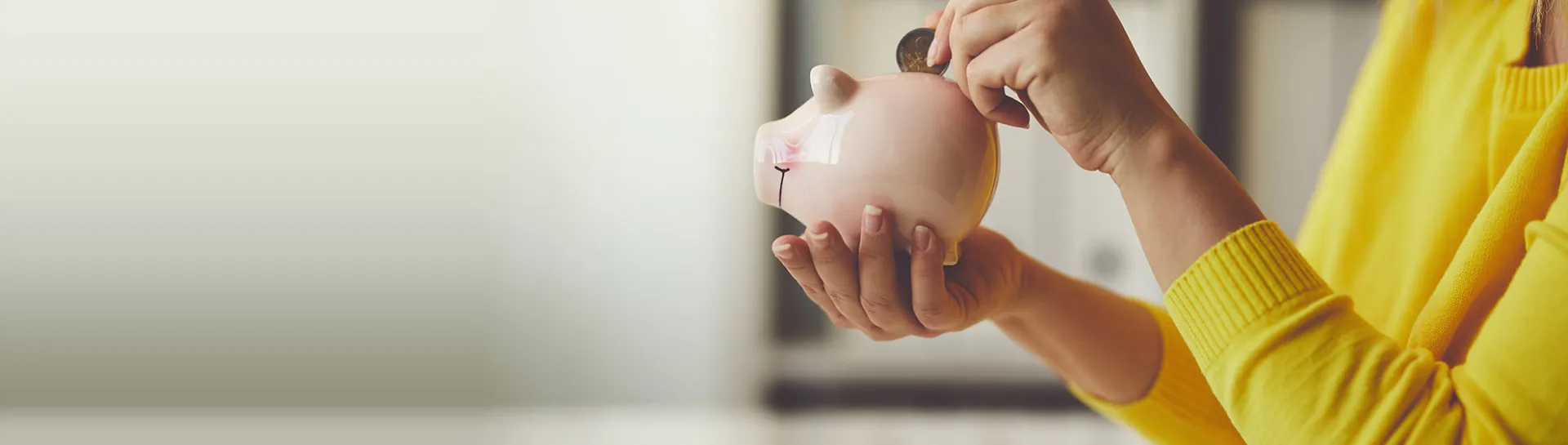 premiegids voor isolatie banner