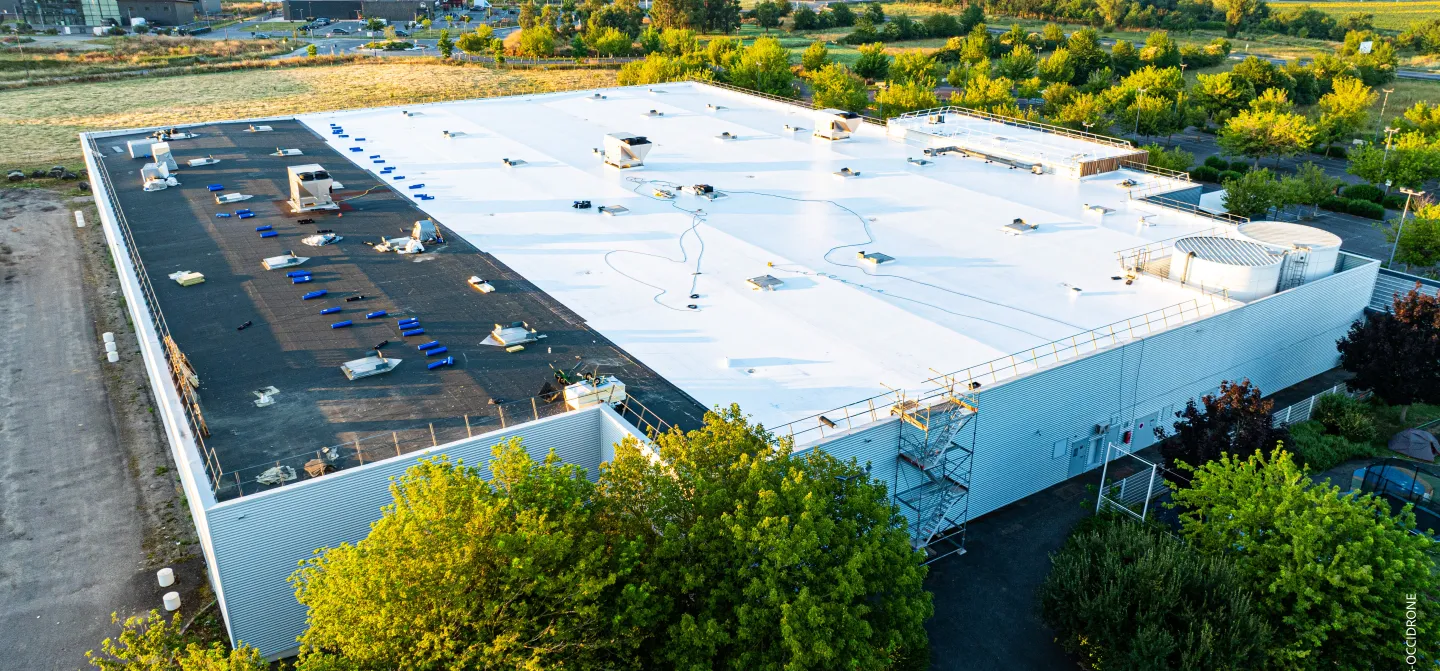 Rénovation Decathlon Escalquens