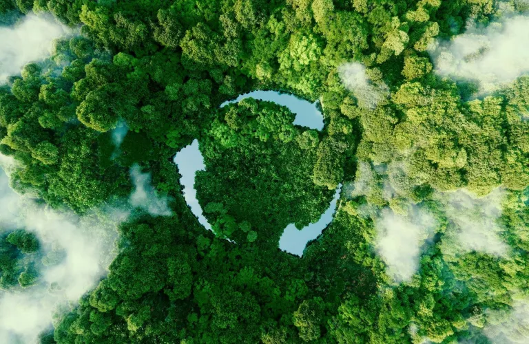 Aerial view of forest with recycling symbol overlay.