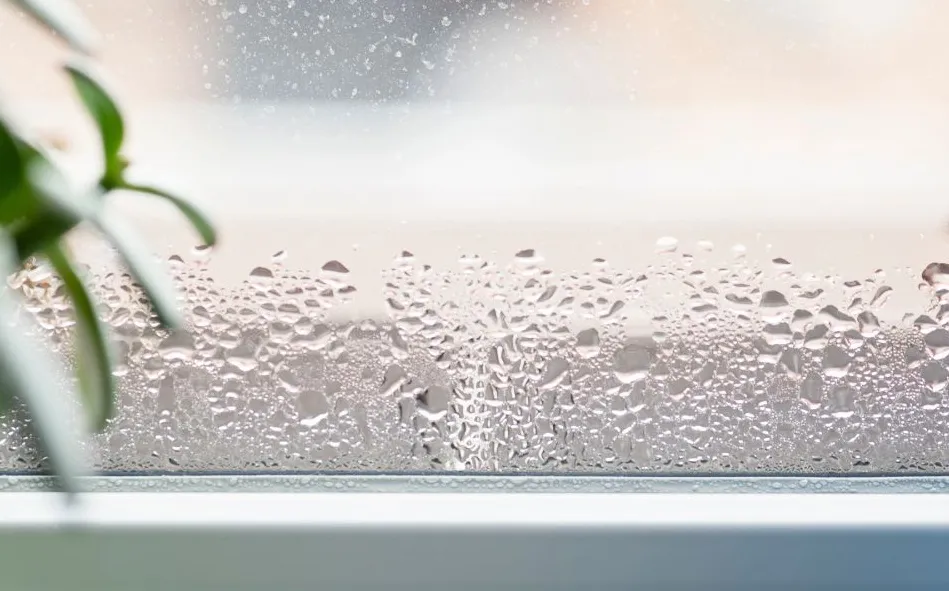 Isolation Recticel contre le phénomène de condensation