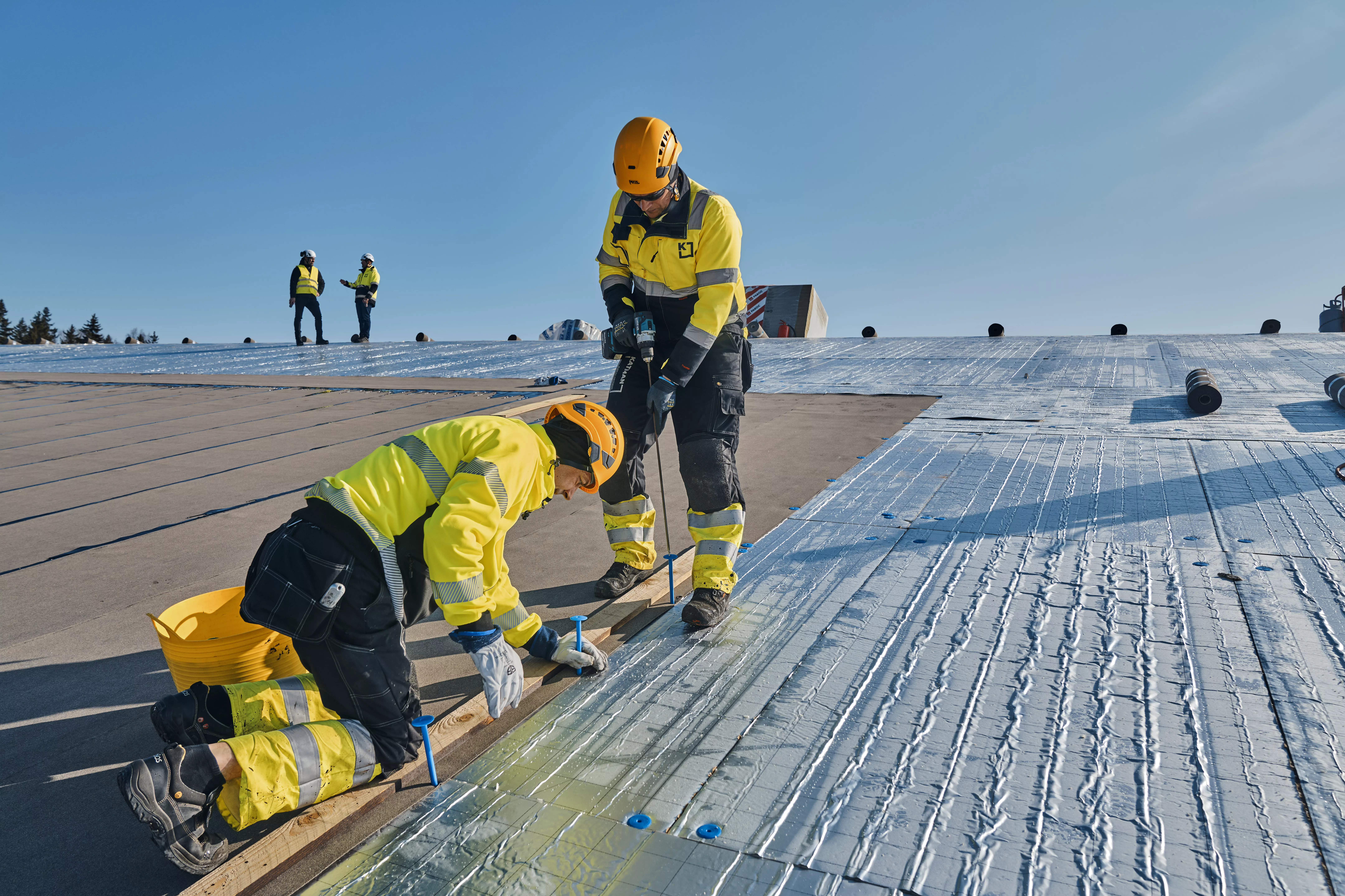 Rosegarden reference